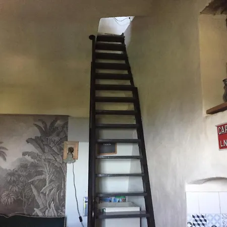 L'alivella - Le Bastion Hotel Bastia (Corsica)